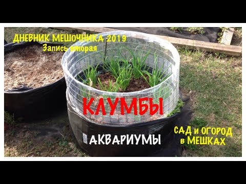 Видео: КЛУМБЫ - АКВАРИУМЫ. Чеснок, Редис, Клубника. Дневник МЕШОЧНИКА 2019. Запись вторая.BEDS - AQUARIUMS.