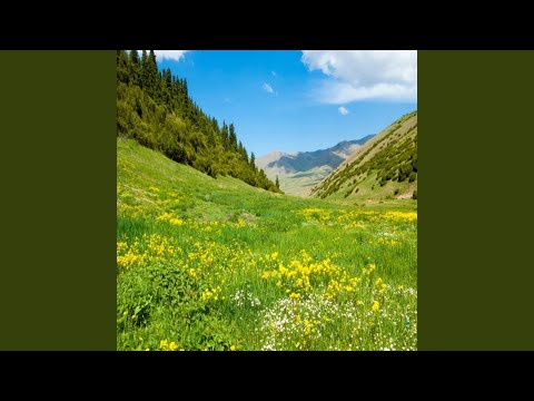 Видео: Өмір-ай