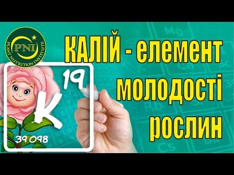 Видео: Калій і живлення рослин: функції, дефіцит, добрива