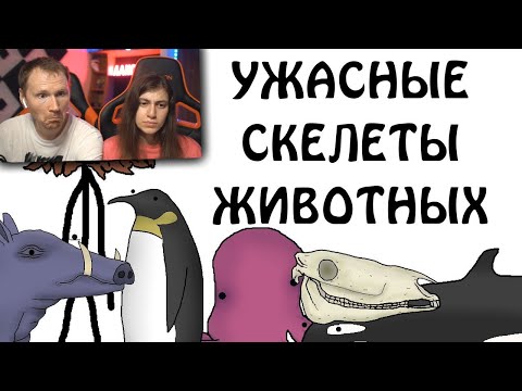 Видео: ТОП 10 самых ужасных скелетов животных - Академия Сэма О'Нэллы / Реакция
