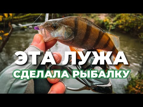 Видео: А ОКУНЬ ТО весь ЗДЕСЬ! Осенняя рыбалка на микродижиг. Рыбалка с CF Strike 694ULS.