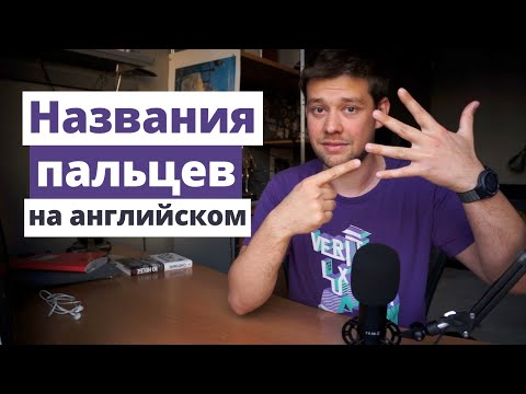 Видео: Как называются пальцы на английском языке