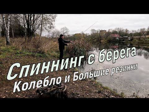 Видео: Рыбалка на колебалки и Крупный силикон. Спиннинг с берега