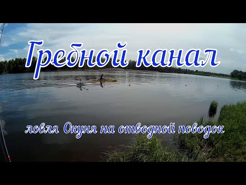 Видео: Гребной канал ( ловля Окуня на отводной поводок )