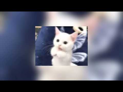 Видео: Лада Дэнс-Аромат любви(Speed up)