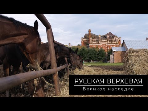 Видео: Фильм Русская верховая. Великое наследие