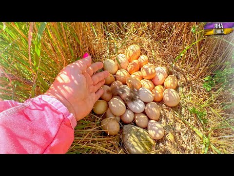 Видео: Очень испугалась! Такого я не ожидала!