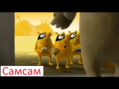 Видео: Мокрокроваты везде найдут. Самсам. Сборник серии про Самсама