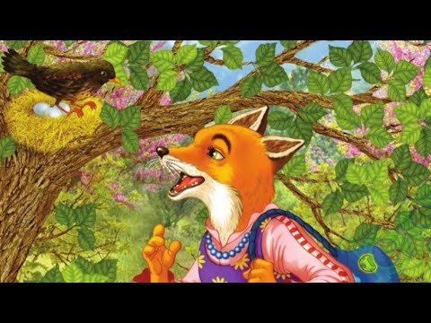 Видео: Косе Босе
