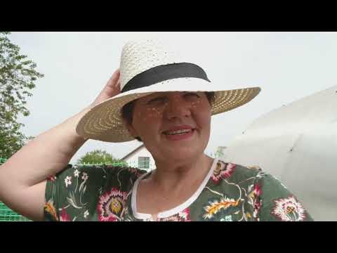 Видео: 25 апреля.  Уже Покраснела Клубника. Дело в шляпе. Шпикачки на мангале.
