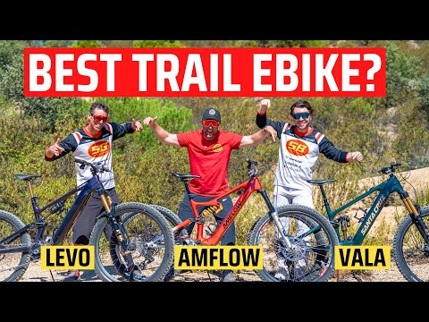 Видео: Santa Cruz Vala против Specialized Levo Gen 4 против Amflow PL Carbon | Обзор лучших электровелос...