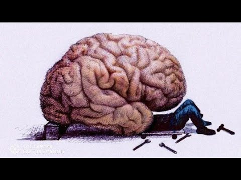 Видео: РАДИО НЛП - Гештальт vs  НЛП