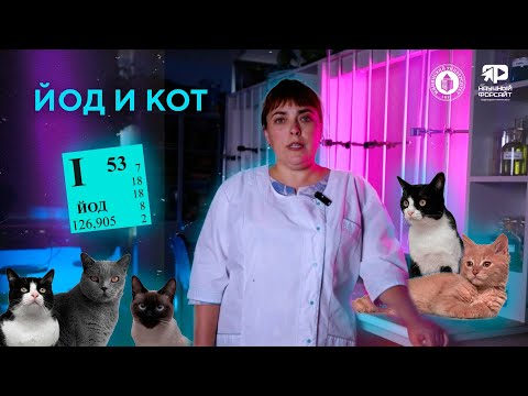 Видео: Йод и кот. Наталья Пиманова (Научный форсайт#13)