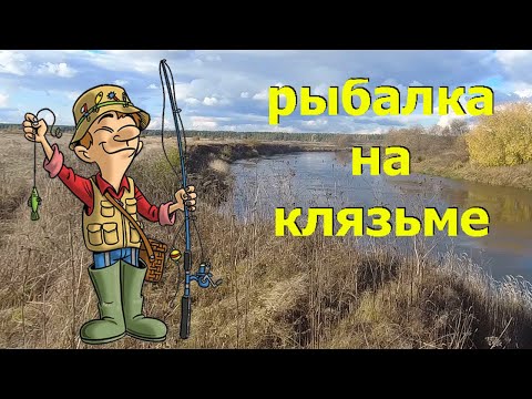 Видео: Рыбалка на Клязьме.Фидер. #Клязьма #фидер #рыбалка