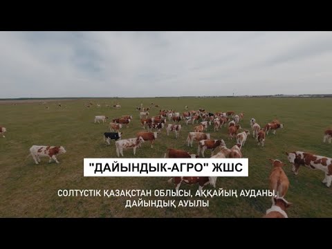 Видео: Дайындық ауылы. Дайындық-Агро ЖШС.  2022 жыл