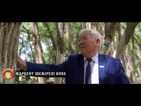 Видео: Киелі ағаш