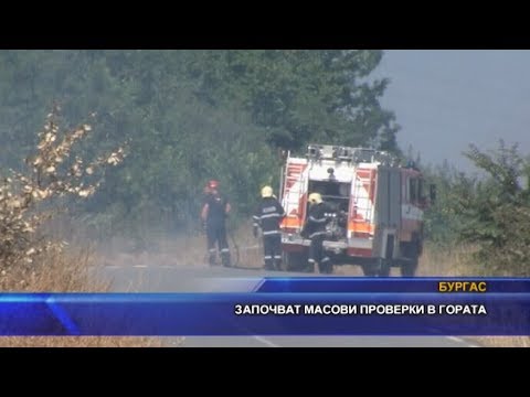 Видео: Започват масови проверки в гората