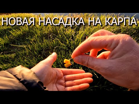 Видео: НОВАЯ НАСАДКА НА КАРПА. ЛОВЛЯ КАРПА НА ПОПЛАВОК