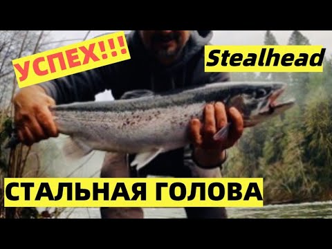 Видео: УСПЕХ! ОТКРЫЛ СЕЗОН НА ЗИМНЕГО СТИЛХЭДА, СТАЛЬНАЯ-ГОЛОВА, РЫБАЛКА В АМЕРИКЕ, ФИЛЕ ЛОСОСЯ