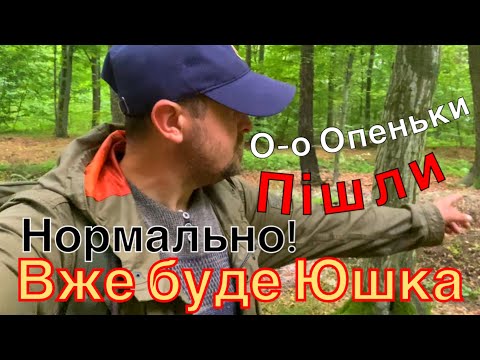 Видео: Четвер 11 вересня 2025 ранковий пошук грибів привів до дуже гарного результату.. перші опеньки 2025