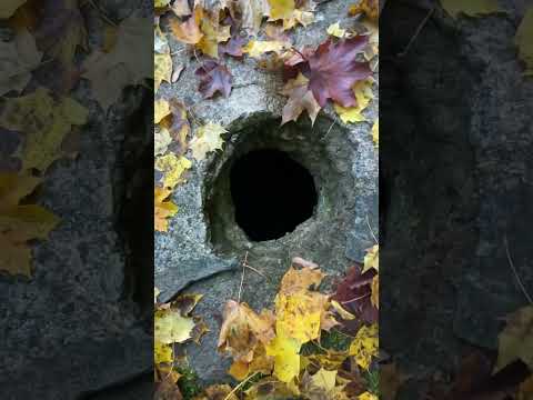 Видео: Прусские могилы 1800 - 1900 годов в Восточной Пруссии.