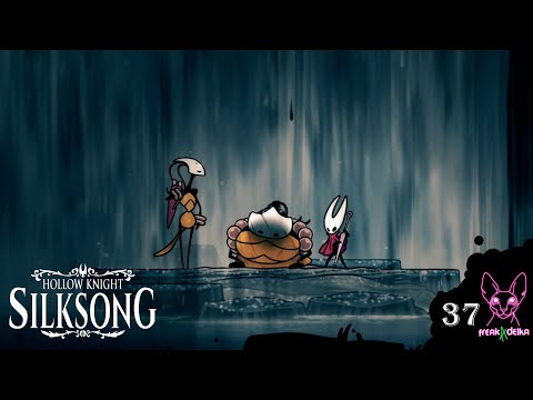 Видео: Кусочек мяса | Ню и Zetsu | Hollow Knight: Silksong №37