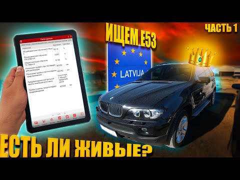 Видео: Что не так с BMW X5 E53 в 2022? Ищем живой E53 по Латвии