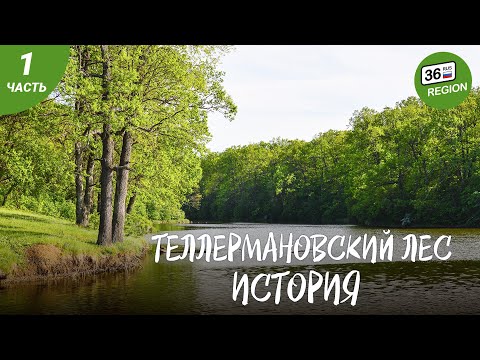 Видео: Теллермановский лес. История леса.