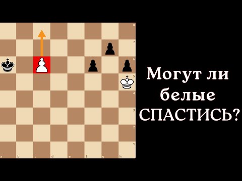 Видео: Король против трех пешек. Как спасти безнадежную партию в шахматах?