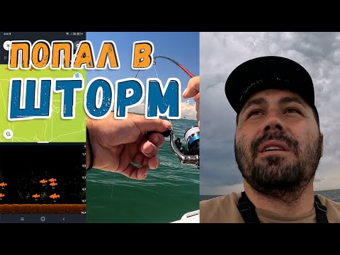 Видео: Нашёл косяк Дорады и Ставриды | Рыбалка в море Греции