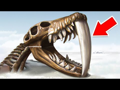 Видео: Вымершие Виды, Которые Возрождают Учёные