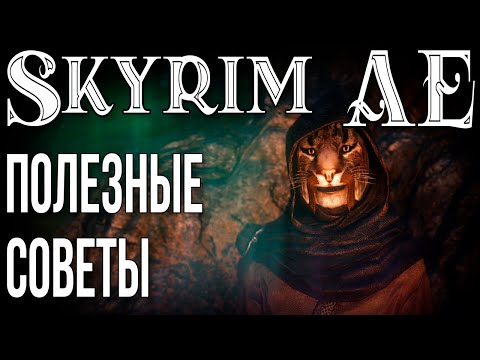 Видео: SKYRIM • ПОЛЕЗНЫЕ СОВЕТЫ • ФИШКИ • СЕКРЕТЫ • БАГИ