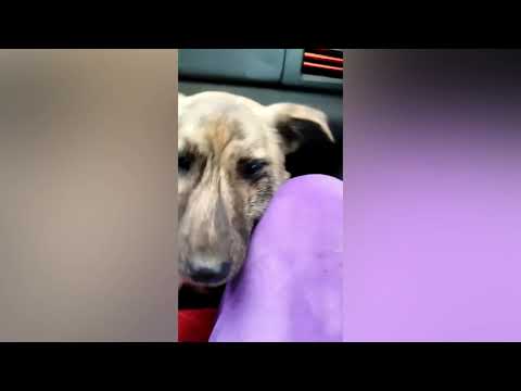 Видео: 29 октября 2025 г.