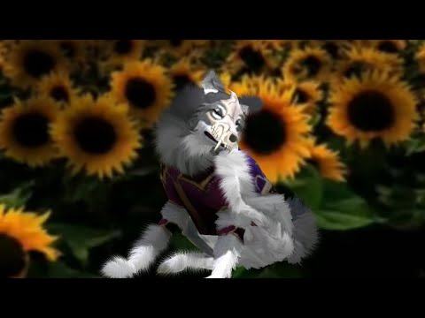 Видео: Мой стиль шерсти