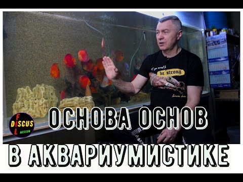 Видео: ЭТО ВАЖНО ЗНАТЬ!!! Для содержания здорового дискуса и не только!