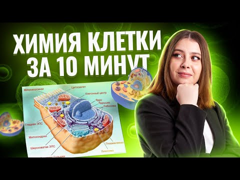 Видео: Химия клетки за 10 минут: Полный разбор ЕГЭ по биологии  | Биология ЕГЭ 2025 | Умскул