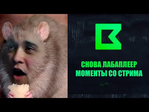 Видео: Играет на Лабе | Моменты со стрима