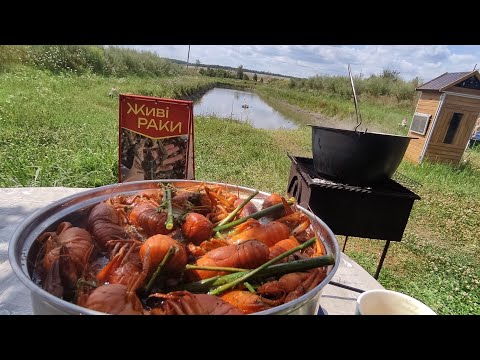 Видео: Поймал и сварил ) РАКИ в томатном бульоне, самый вкусный рецепт....
