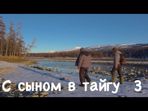 Видео: С сыном в тайгу 3. Плато Путорана / Bushcraft in Siberia / Сибирь