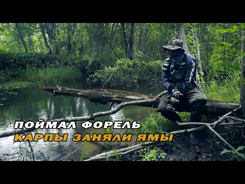 Видео: Карпы Форель в Малой Реке | Лайфхак с катушкой | Trout Fishing