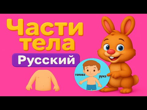 Видео: Учим части тела с мультфильмом | Learn Body Parts with a Cartoon