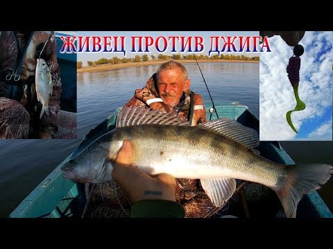 Видео: ОХОТА НА СУДАКА С ЖИВЦОМ ПРОТИВ ДЖИГА.  СМОТРИМ ДО КОНЦА!  РЫБАЛКА НА АХТУБЕ