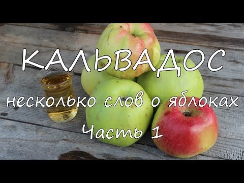 Видео: КАЛЬВАДОС. Несколько слов о яблоках. Часть 1.