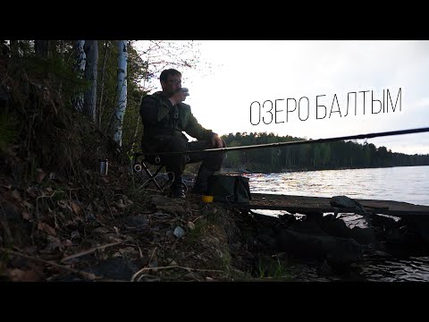 Видео: Вечерком на фидер. Озеро Балтым