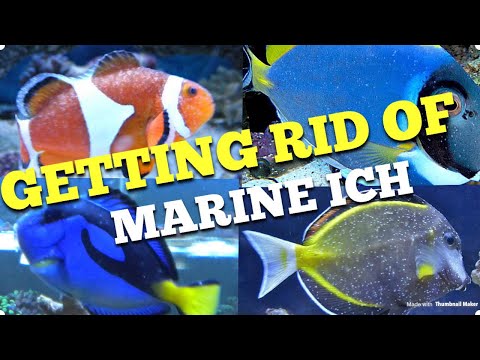 Видео: Избавление от ВЧК навсегда