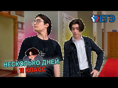 Видео: Несколько Дней Из Жизни 11 классника