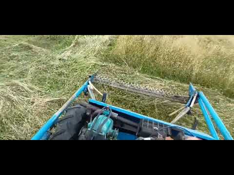 Видео: косене на ливада с БЧС 303