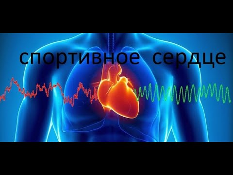 Видео: Разговоры о триатлоне. Сердце. Что надо знать.
