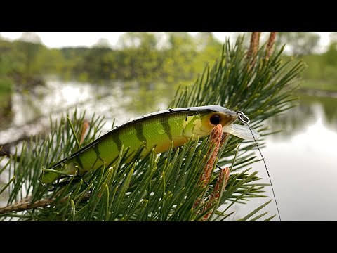 Видео: Трудовая рыбалка на щуку | Твичинг на реке | р. Вилия