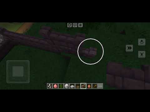 Видео: Ферма бджол